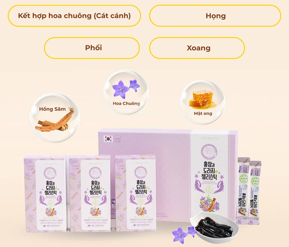 Hồng Sâm Hoa Chuông Daedong 20g x 30 Stick Dạng Thạch Cao Cấp Hàn Quốc 2 Hồng sâm hoa chuông Daedong stick